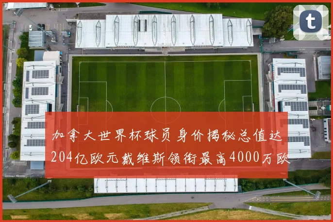 加拿大世界杯球员身价揭秘总值达204亿欧元戴维斯领衔最高4000万欧